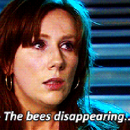 disappearing-bees-doctor-who